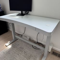 Tresanti 47” Adjustable Standing Desk