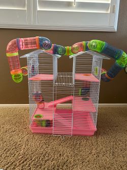 Hamster cage