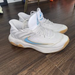 Men’s Nike Giannis Basketball Shoes Sneakers 