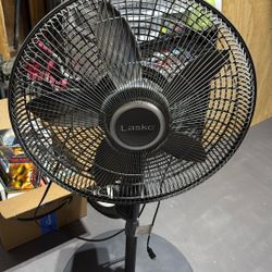Fan