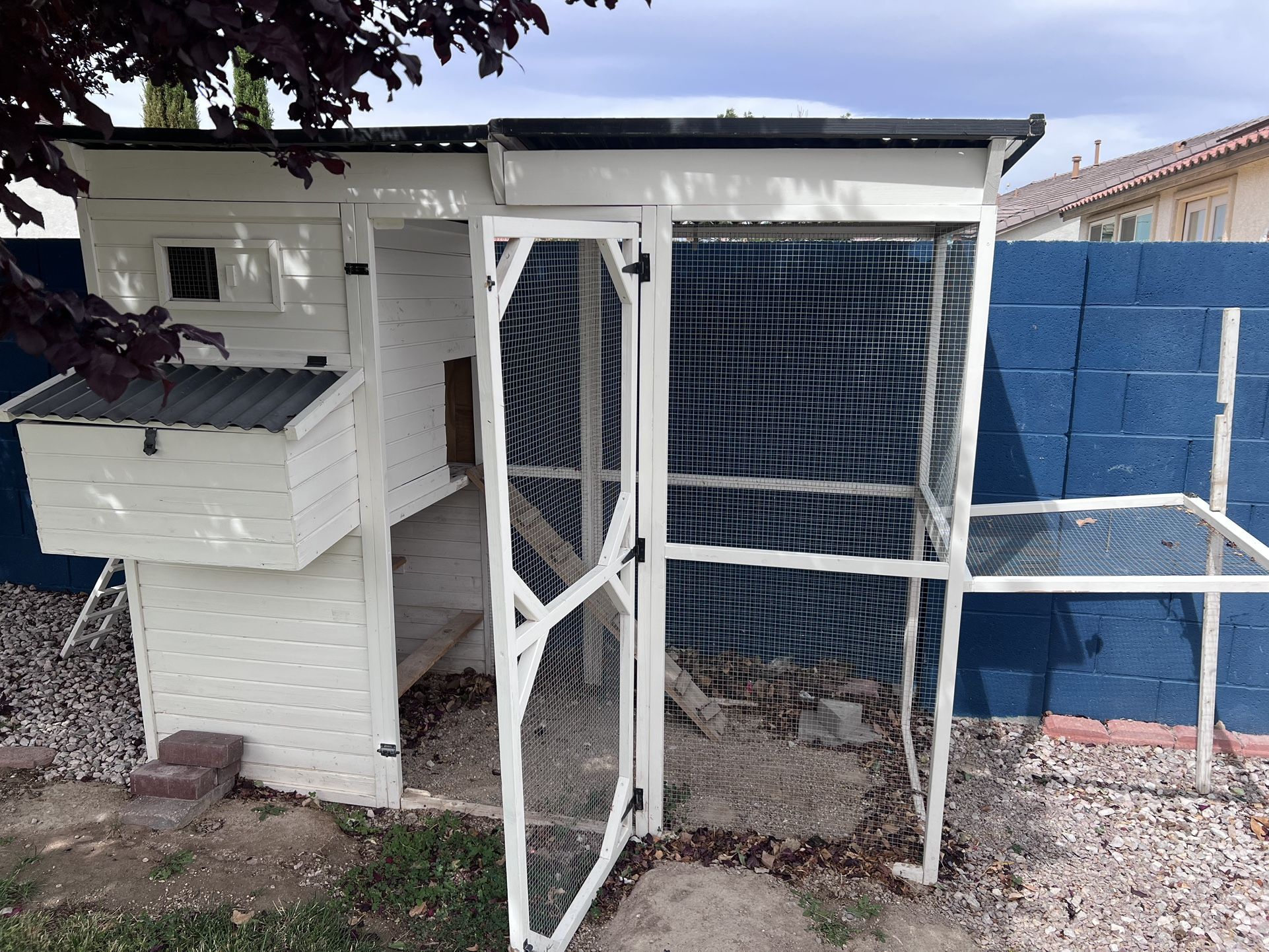 Chicken Coop