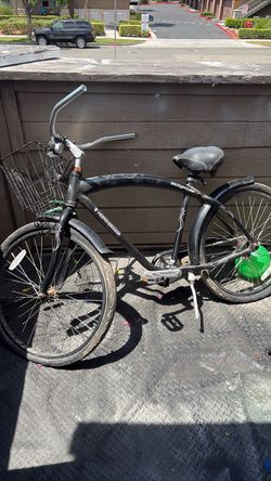 Beach Cruiser