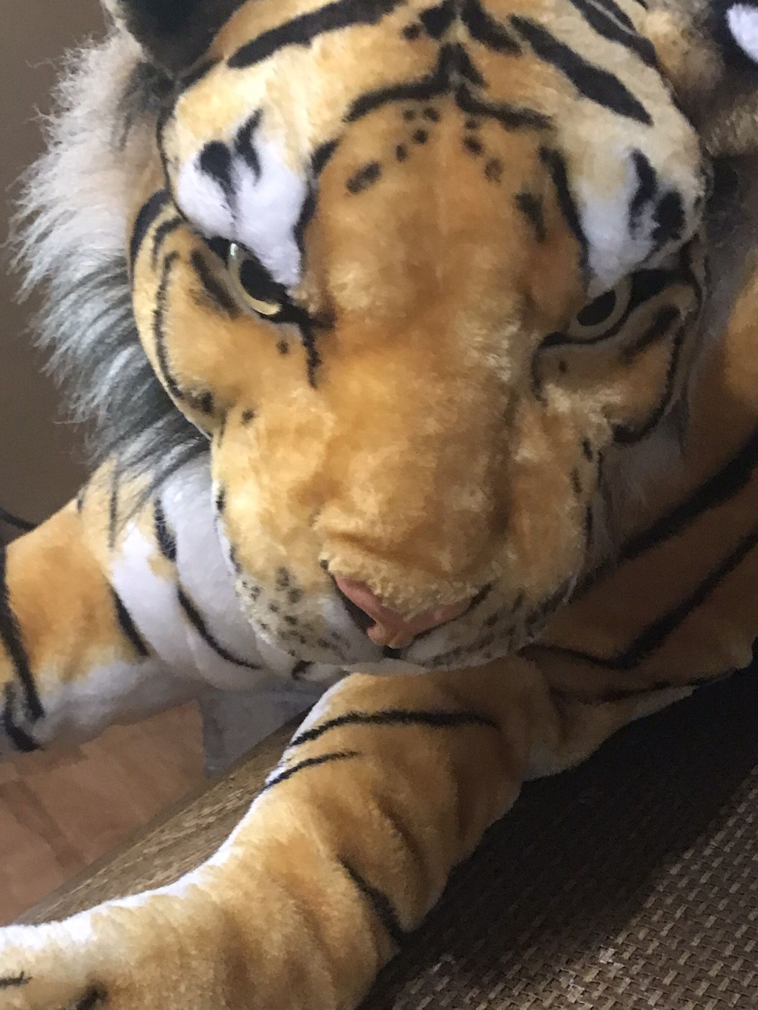 Auburn Tiger, Large Flawless 