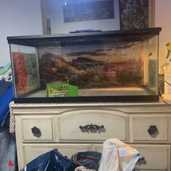 50 Gal Tank