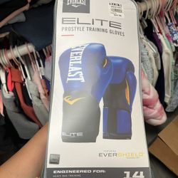 Everlast 14 Ounces Boxing Gloves 