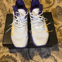 Nike LeBron Witness 4