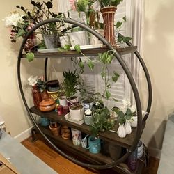 Round Bookcase Display Case 