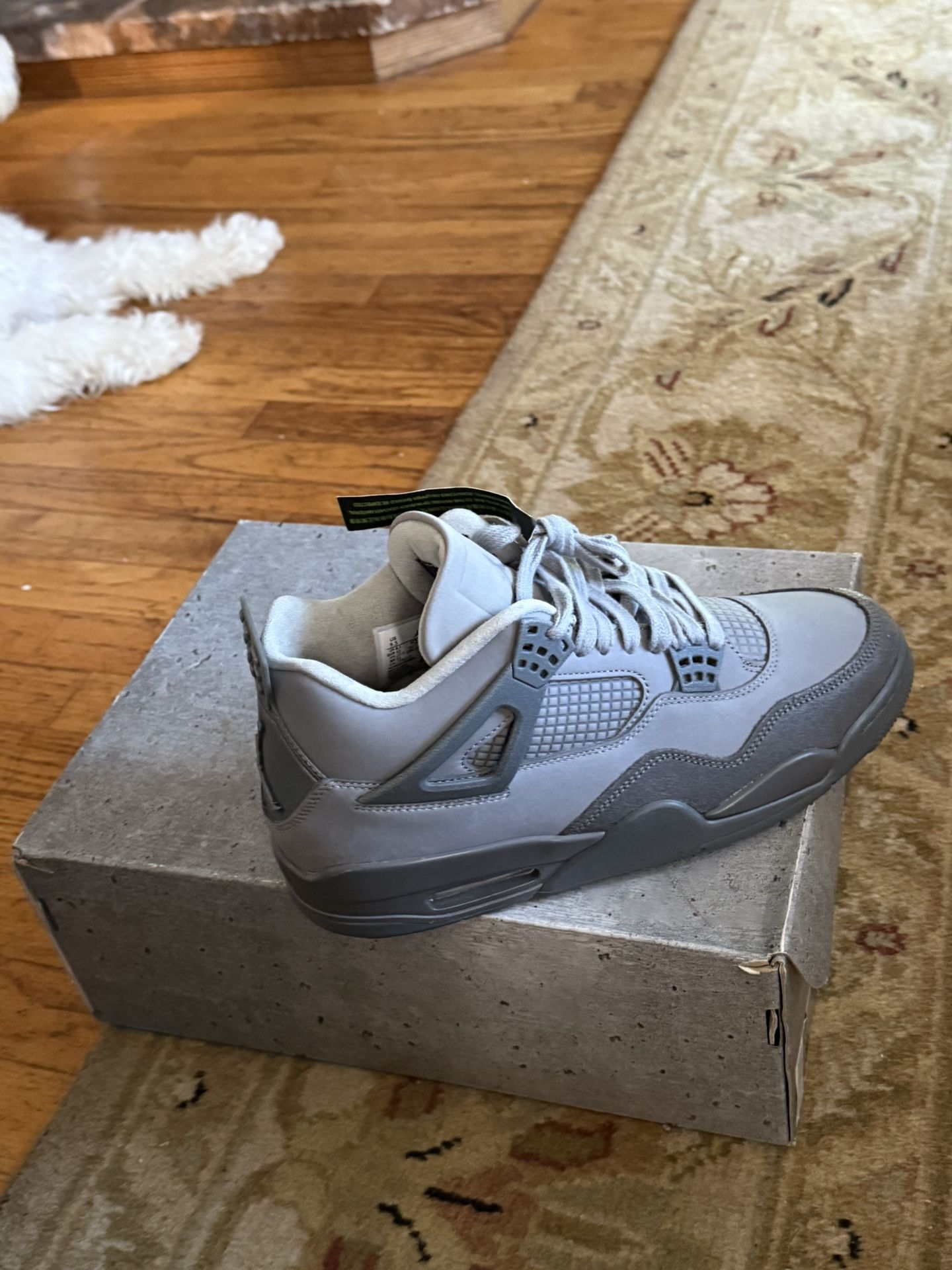 Jordan 4 Paris Wet Cements 9.5