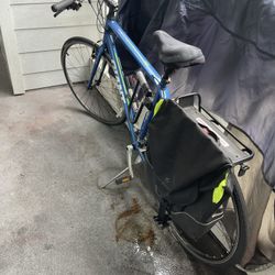 Giant Road Bike Escape 