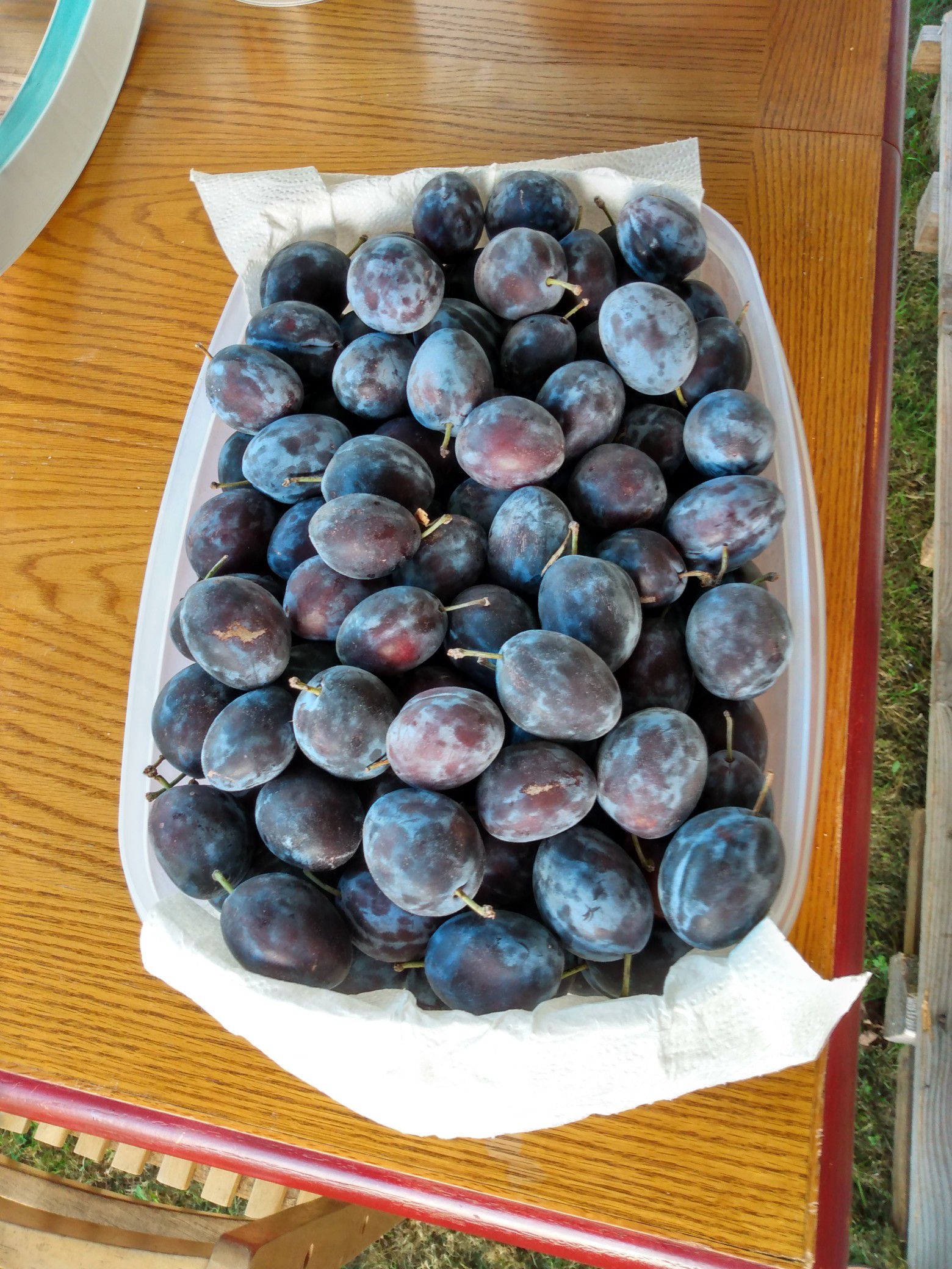 Latest Super delicious and 100% Organic Sweet Plums. $ 1.50 per pound.