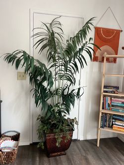 Artificial house plant