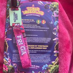 BEYOND WONDERLAND TICKET