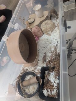 Bucastate Hamster Home & Supplies 🐹