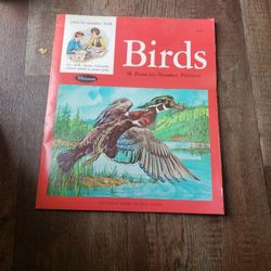 Antique Paint By Number Bird Book