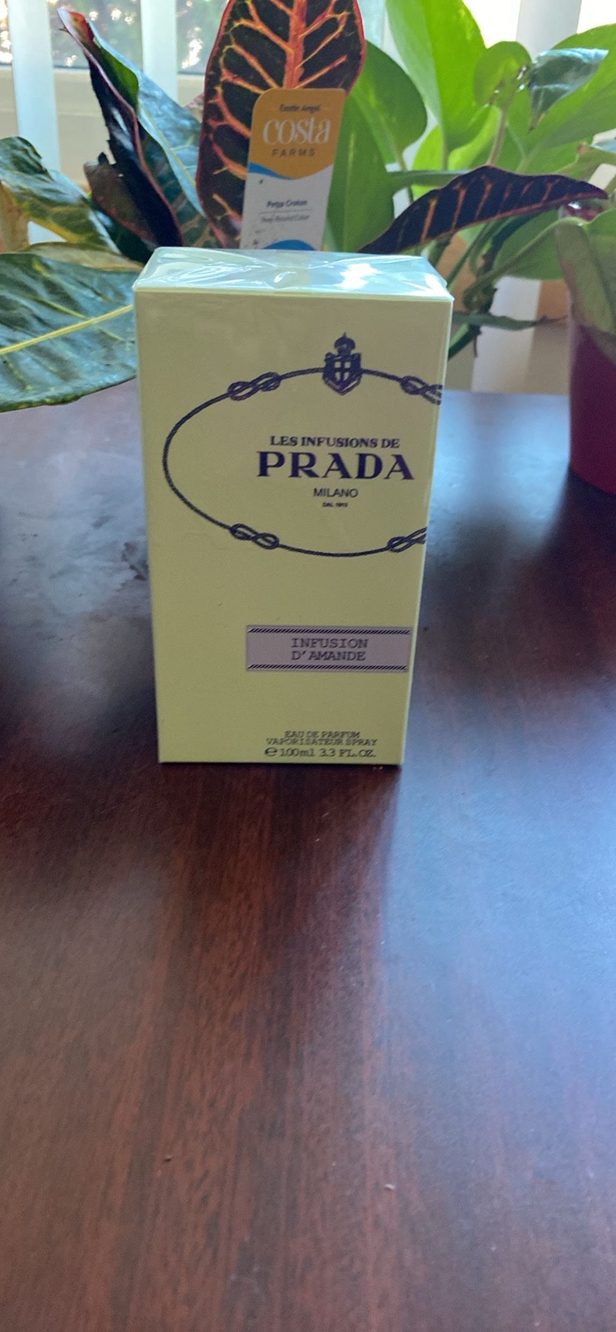 Prada Milano