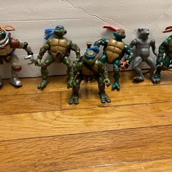 Teenage Mutant Ninja Turtles