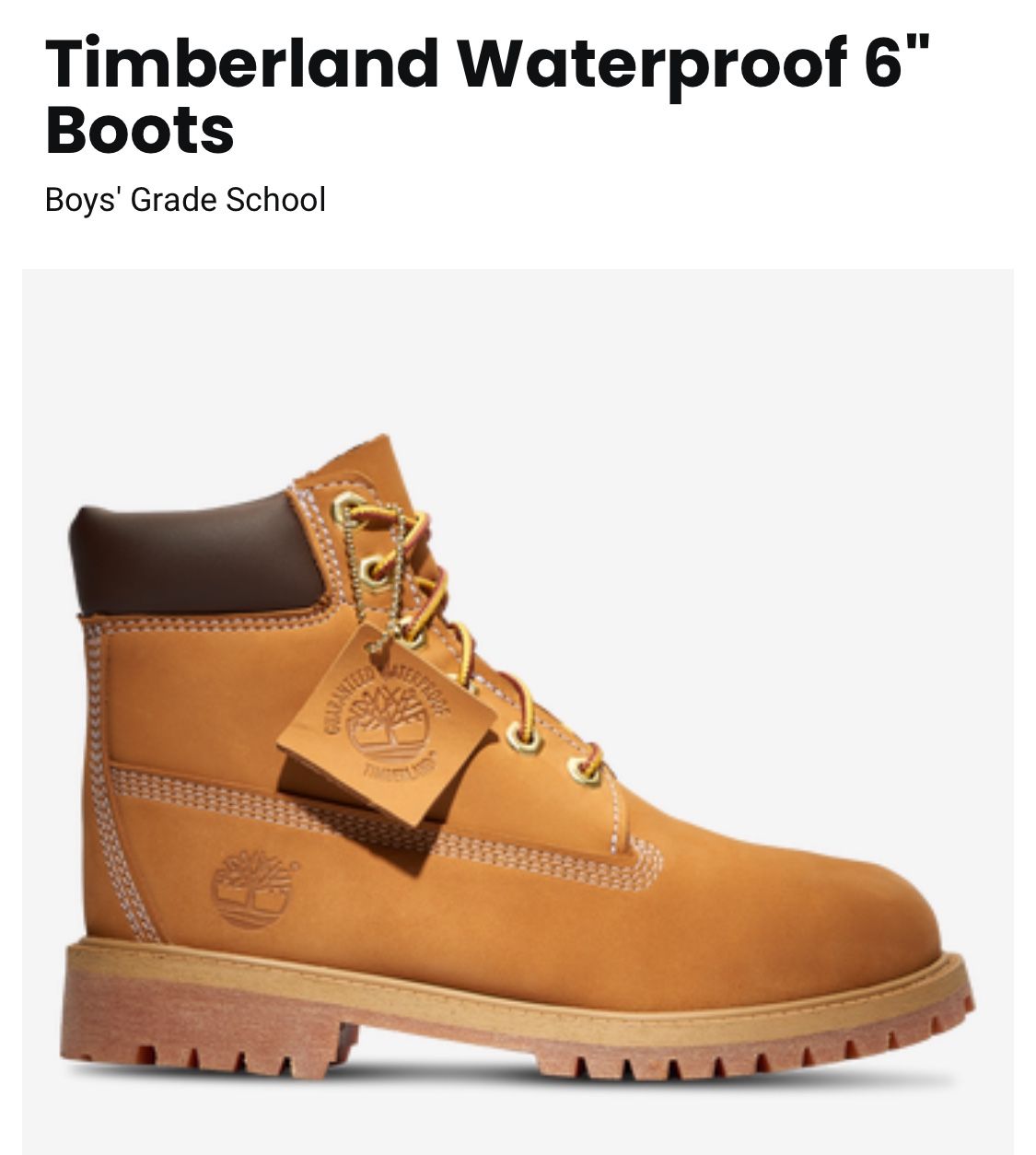 Timberland Waterproof 6” Boots (Wheat Color)size. 5.5
