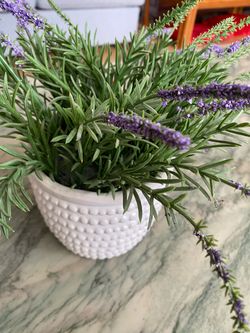 Fake potted flowers