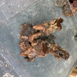 Root Wood Glass Table 