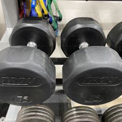 75lb Dumbbells 