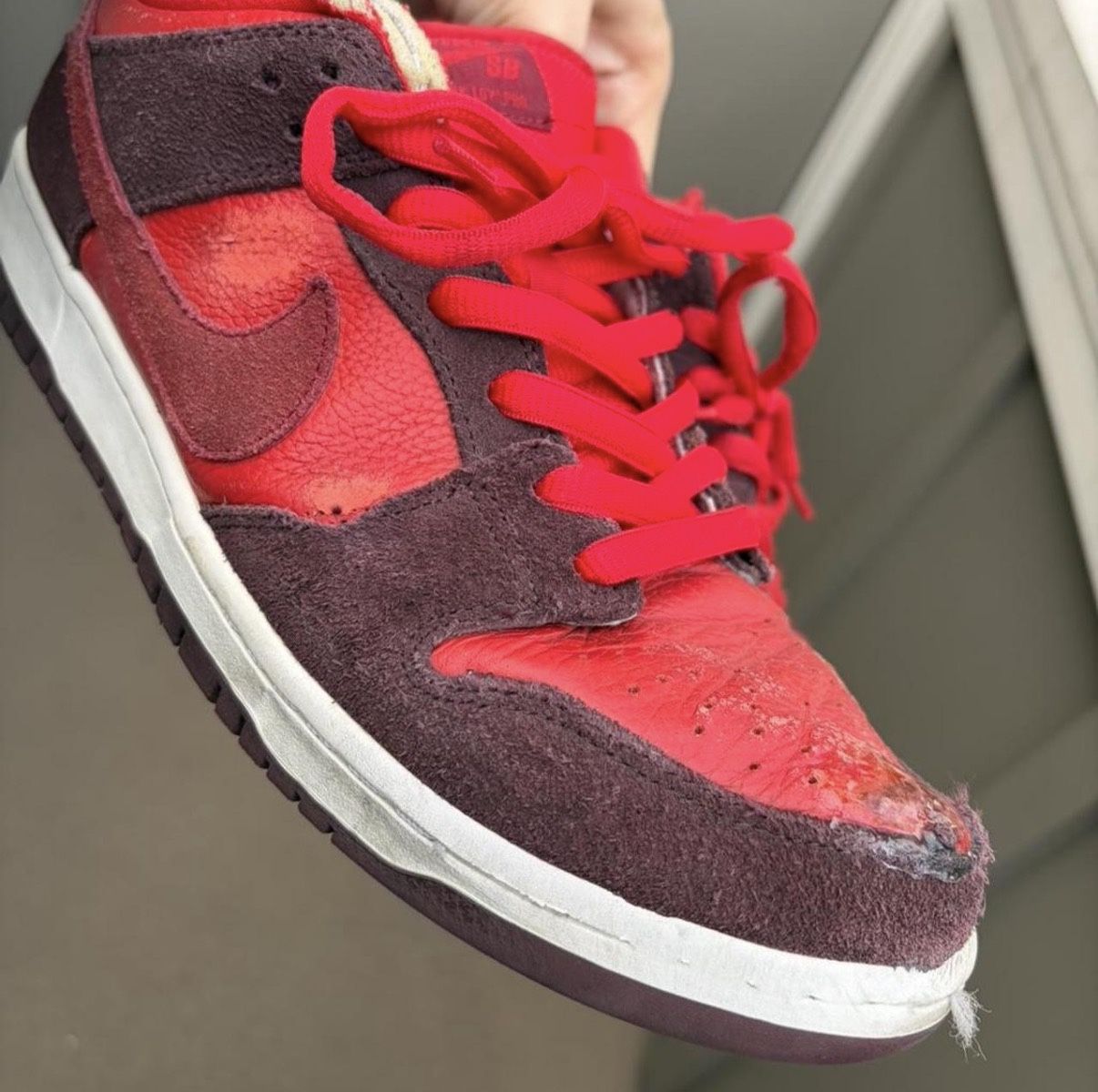 Nike SB Dunk Low 