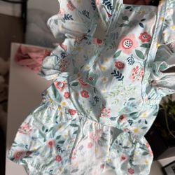 Puppy Dress Size Small