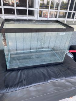 Fish tank