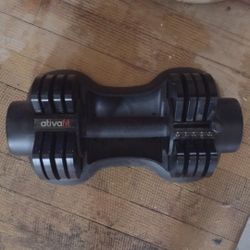 AtivaFit Adjustable Dumbbell