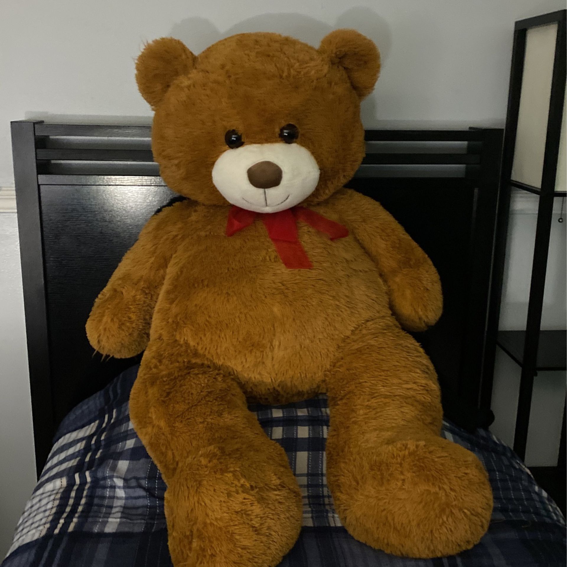Big Teddy Bear 🧸