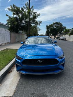 2019 Ford Mustang
