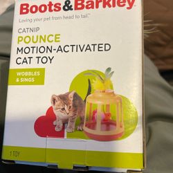 Cat Toy 