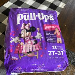 Brand New Pull Ups 2T-3T