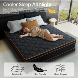 Queen Mattress - 5 Months Old Guest room - Must sell