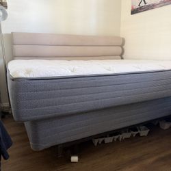 Signature Luxury Firm Queen Matress by Ortho Mattress + Box Spring And Frame