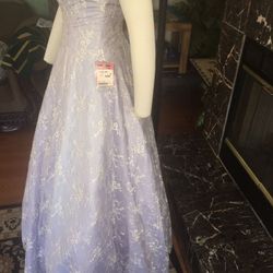 Bridal/Prom Dress