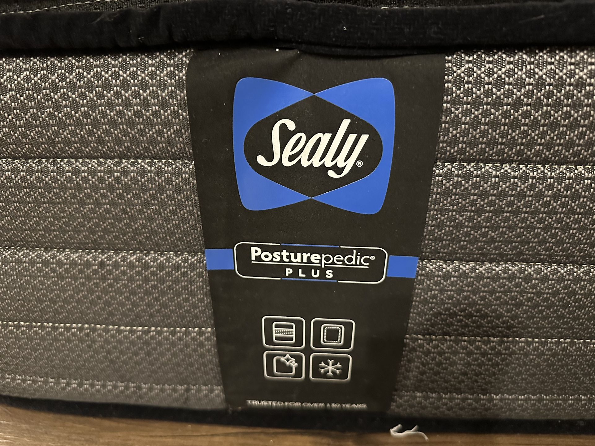 Sealy Mattress From Costco - Firm