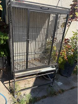 Bird cage