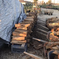 Eucalyptus Fire 🔥 Wood 🪵