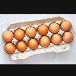 Organic Eggs