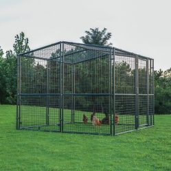 Chicken coop walk in