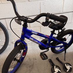 16” Kids Bike with Training Wheels 