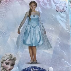 Frozen- Elsa costume