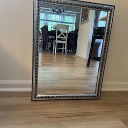 Medicine/Vanity Storage Mirror