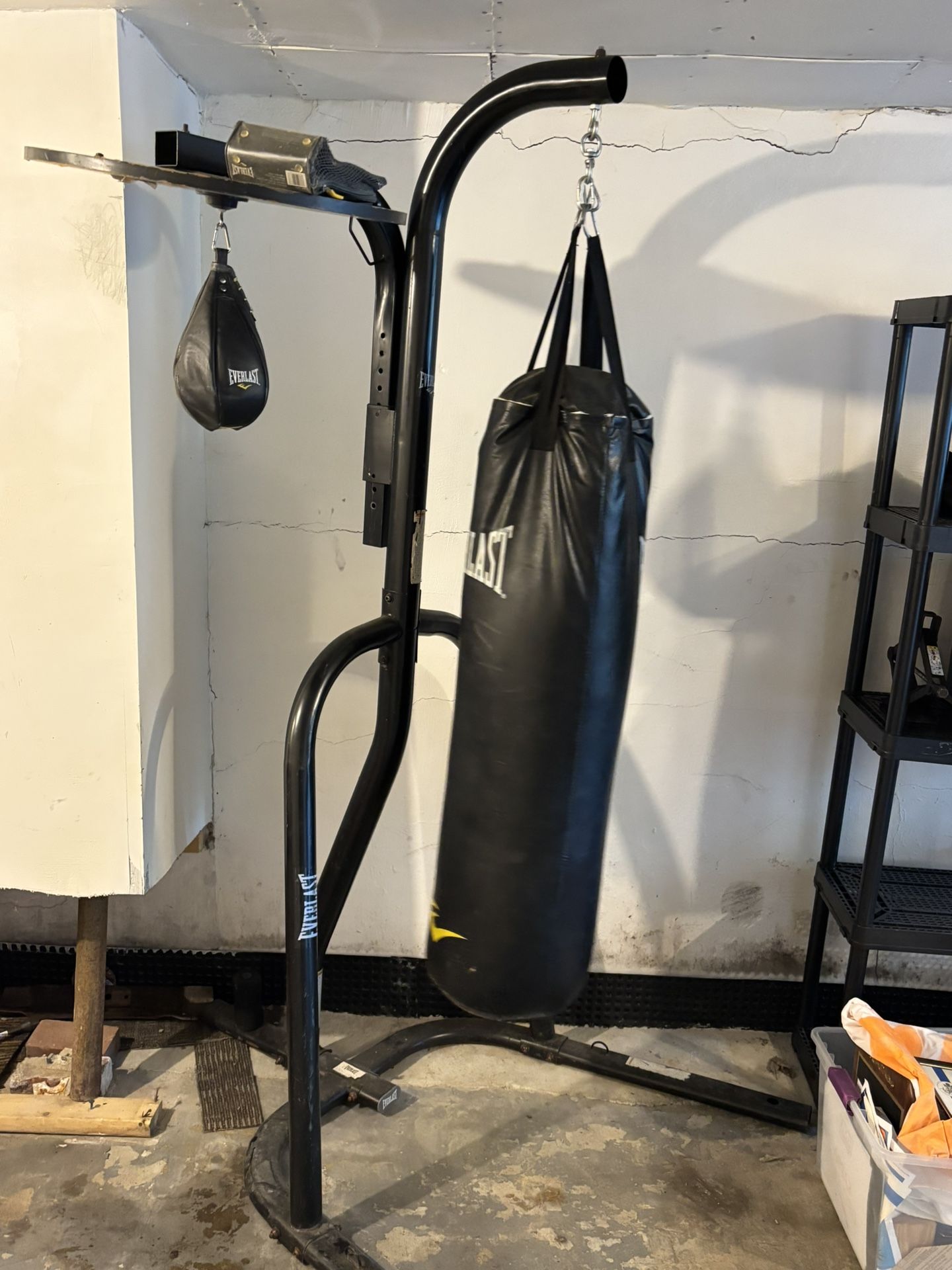 Everlast Punching Bag