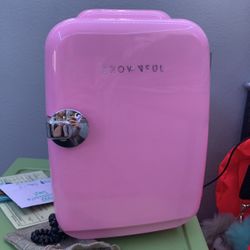 mini fridge for skincare and drinks 