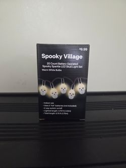Spooky Village 20-Count LED Skull String Lights