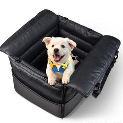 Dog car seat