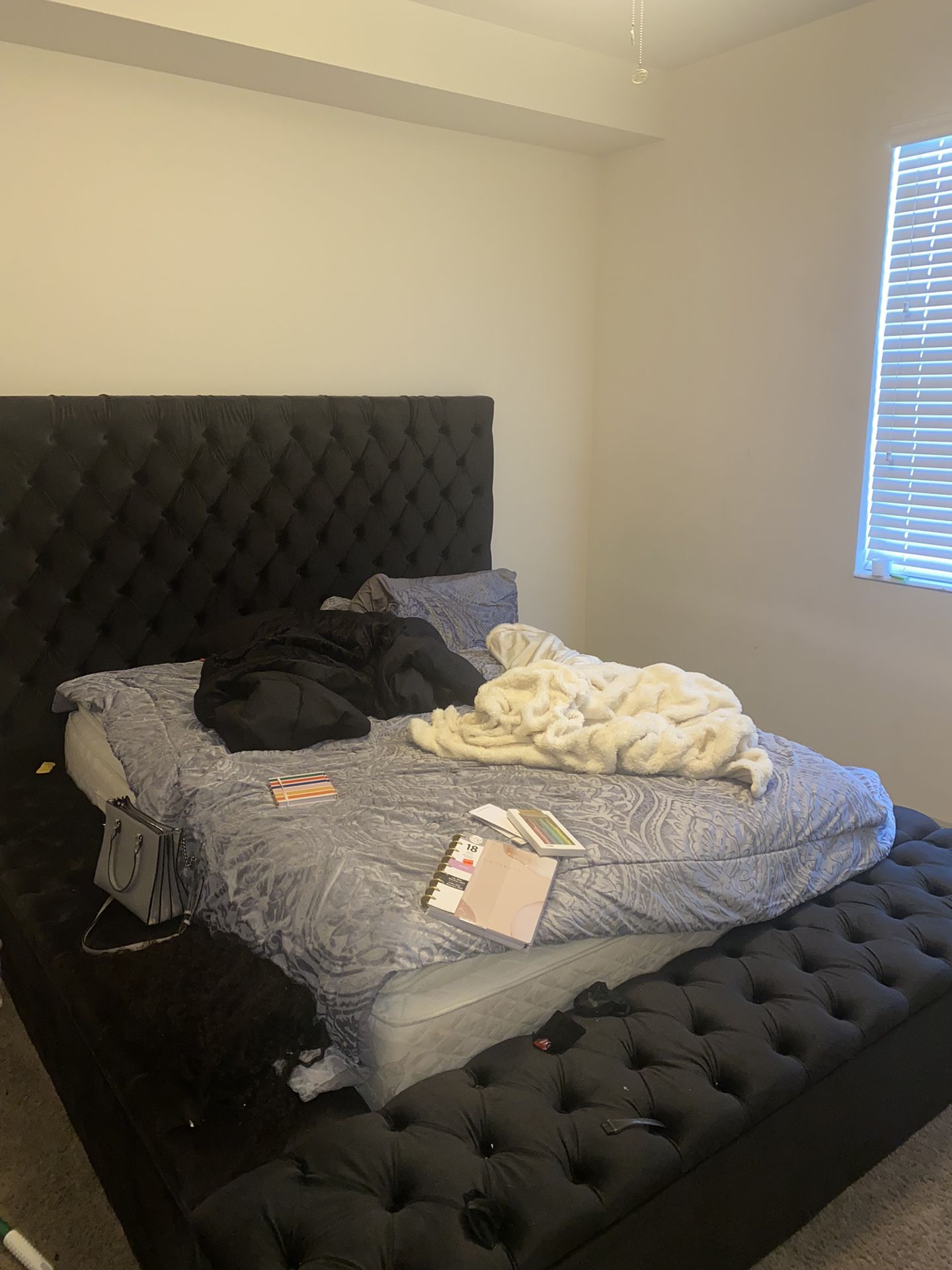 Queen Bed PLUS mattress