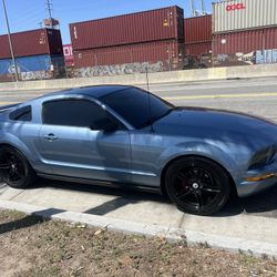 2005 Mustang 