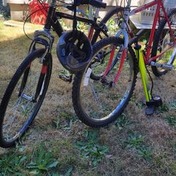 2 Bikes And And Air Pump 